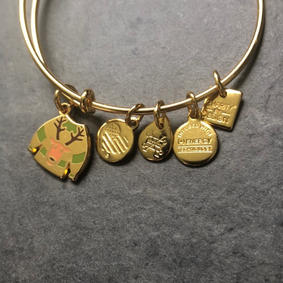 Alex and Ani Winter rain deer 🦌 sweater bracelet - Picture 2 of 3